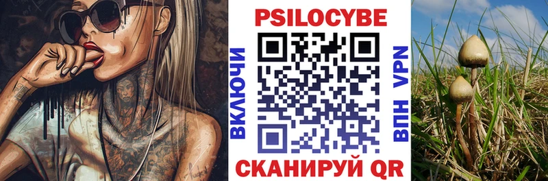 Псилоцибиновые грибы GOLDEN TEACHER  кракен вход  Судогда 